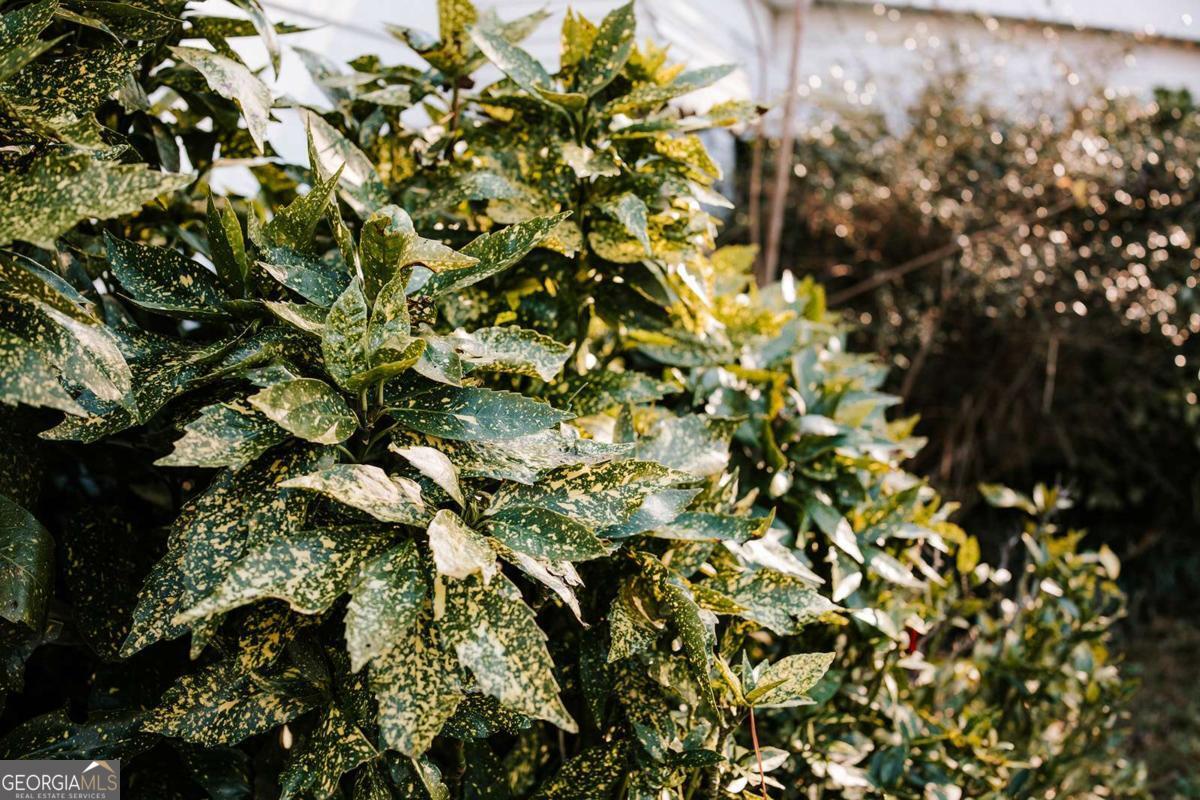 119 Ralph Bridges Road Lexington, GA 30648 - Photo 46 of 65