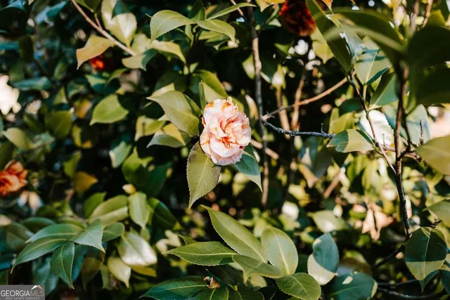 $750,000 | 119 Ralph Bridges Road, Lexington, GA 30648