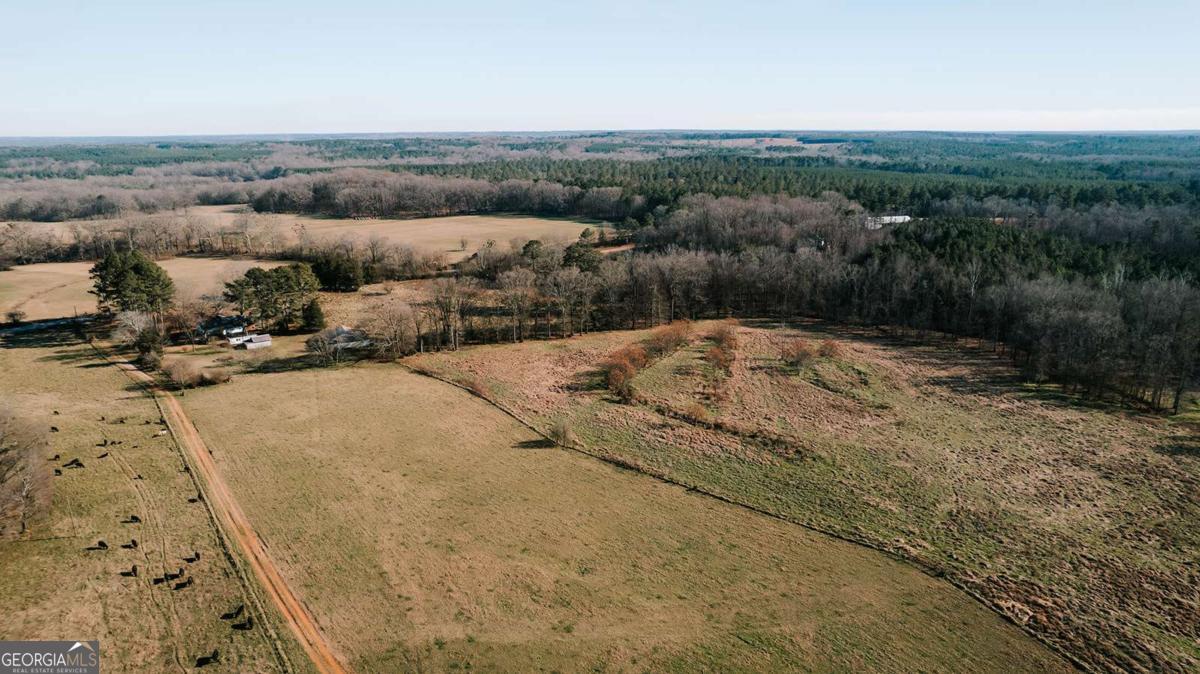 119 Ralph Bridges Road Lexington, GA 30648 - Photo 49 of 65 a view of a backyard of a house