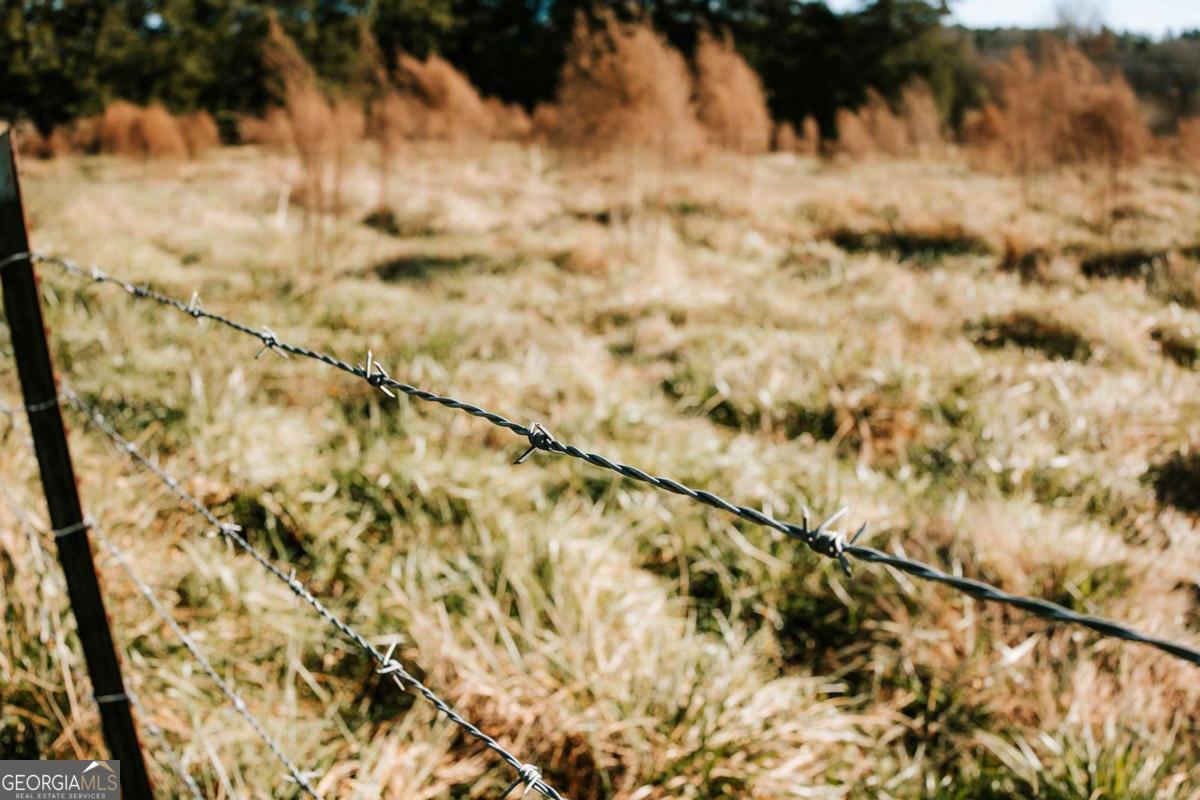 119 Ralph Bridges Road Lexington, GA 30648 - Photo 50 of 65