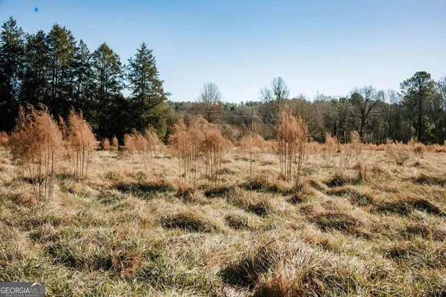 $750,000 | 119 Ralph Bridges Road, Lexington, GA 30648