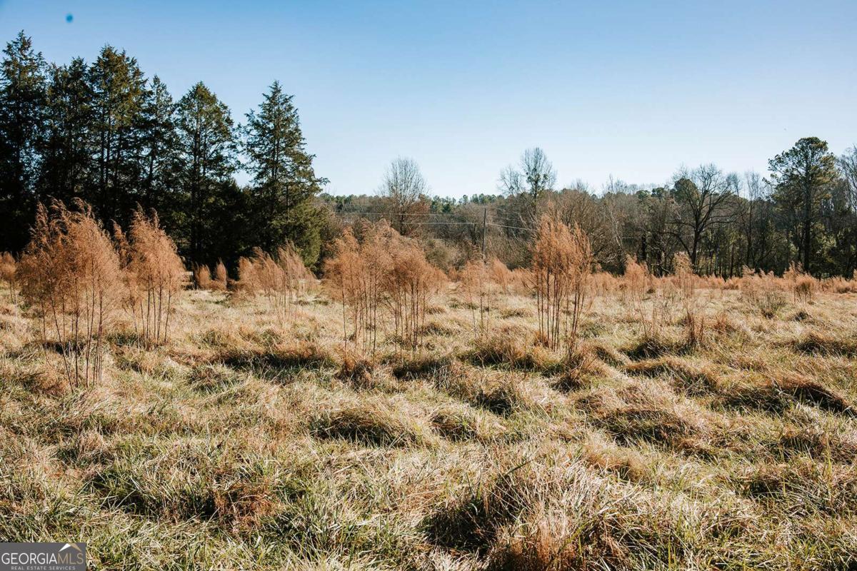 119 Ralph Bridges Road Lexington, GA 30648 - Photo 51 of 65 a view of a covered with snow in the background