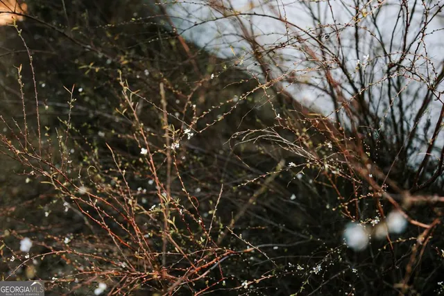 $750,000 | 119 Ralph Bridges Road, Lexington, GA 30648