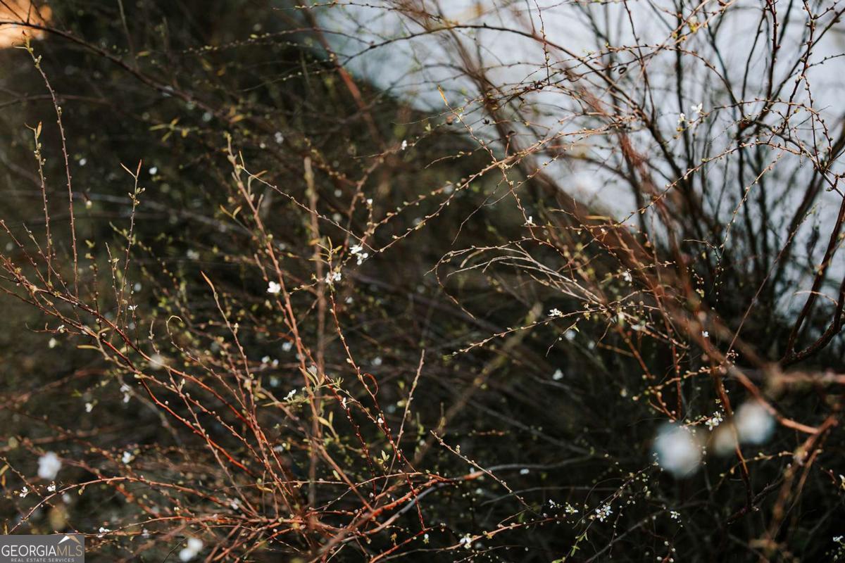 119 Ralph Bridges Road Lexington, GA 30648 - Photo 54 of 65