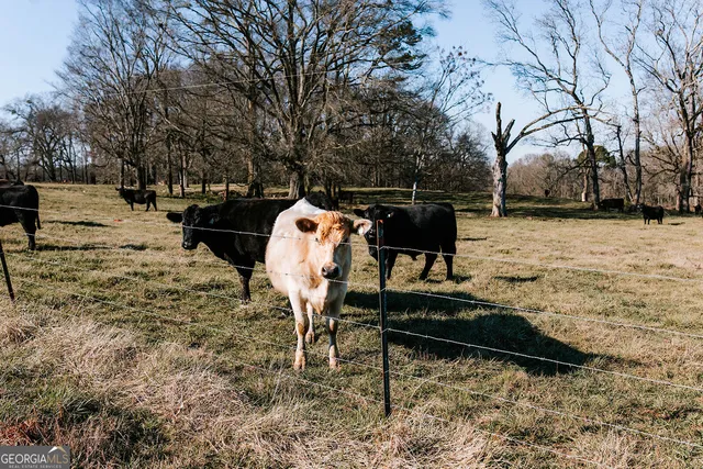 $750,000 | 119 Ralph Bridges Road, Lexington, GA 30648