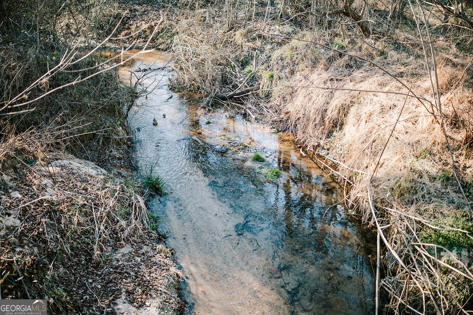 119 Ralph Bridges Road Lexington, GA 30648 - Photo 65 of 65 a view of a yard with plants and trees