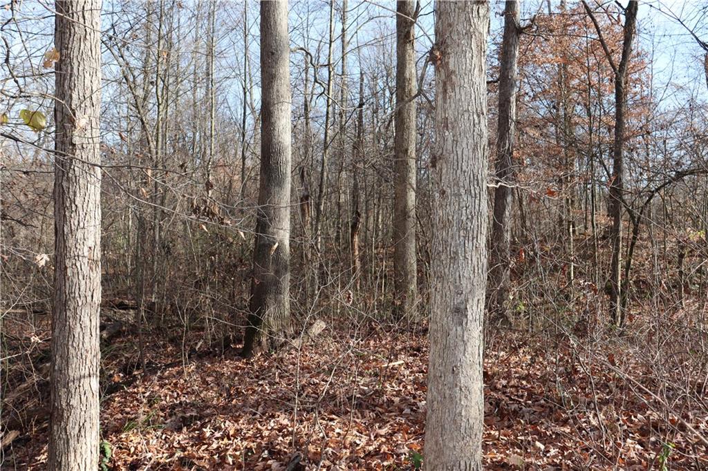 1 Goose Creek Road Freedom, IN 47431 - Photo 14 of 17