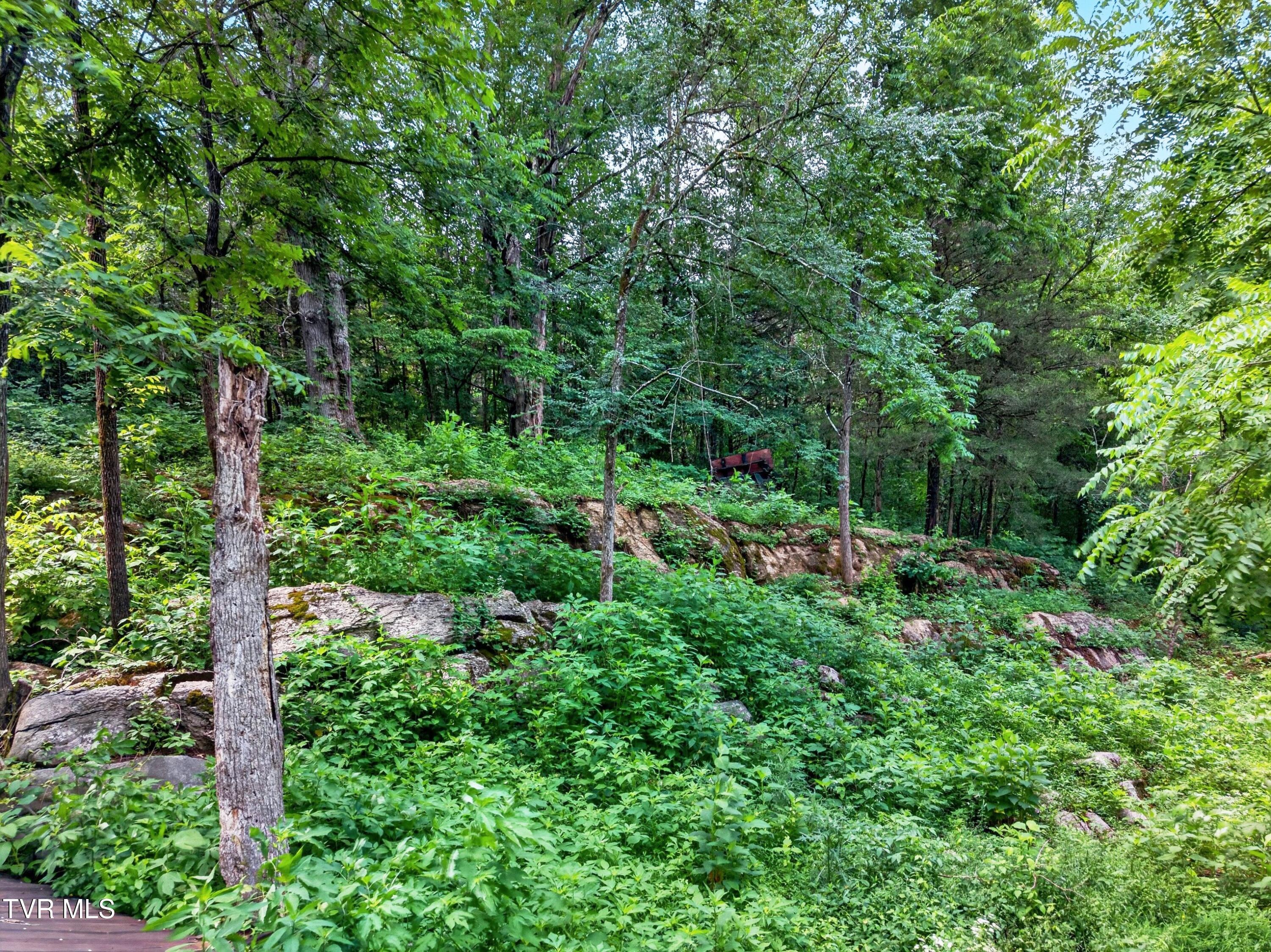 2087 Bullen Valley Road Thorn Hill, TN 37881 - Photo 17 of 29 017-2087BullenValleyRoad-ThornHill-TN-37