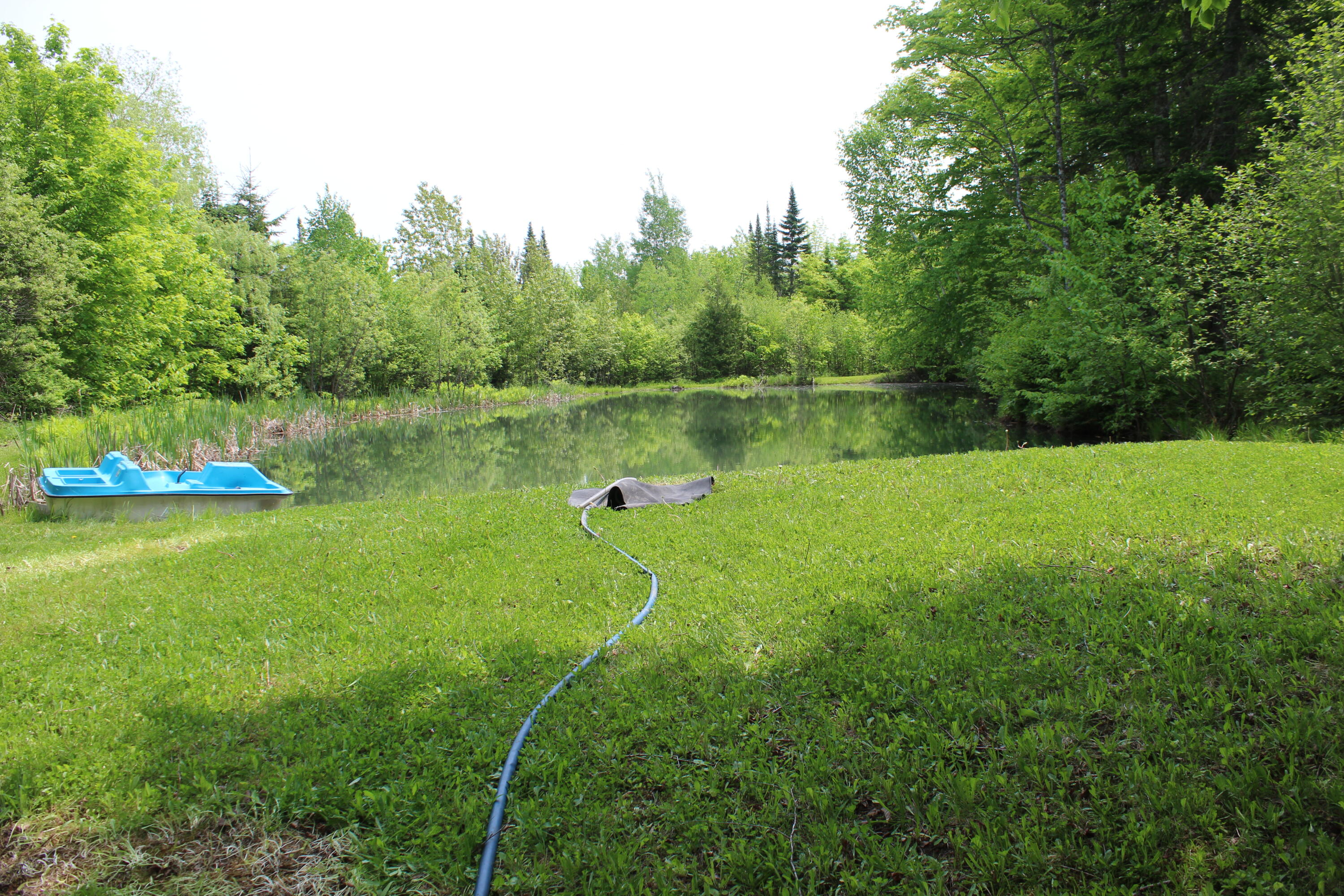 213 Clark Road Merrill, ME 04780 - Photo 19 of 42 IMG_6767