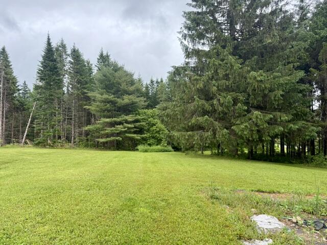 1337 East Plantation Road Blaine, ME 04734 - Photo 31 of 43 IMG_1094