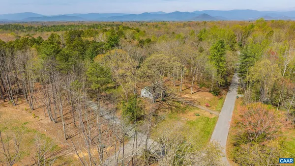 a view of a yard with plants and trees
