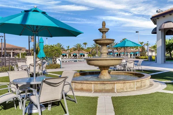 a view of a park with palm trees