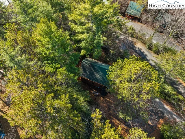 a view of a tree in a garden