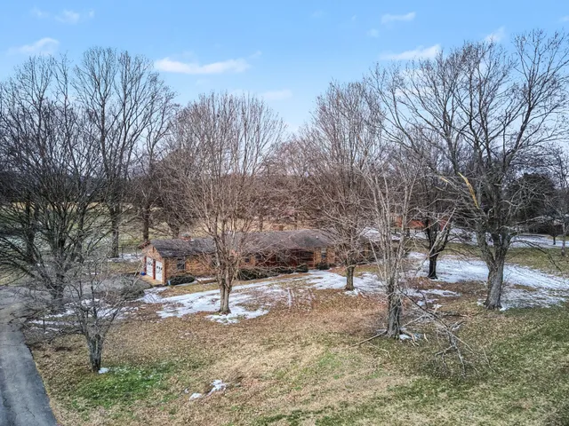 a view of a tree in a field