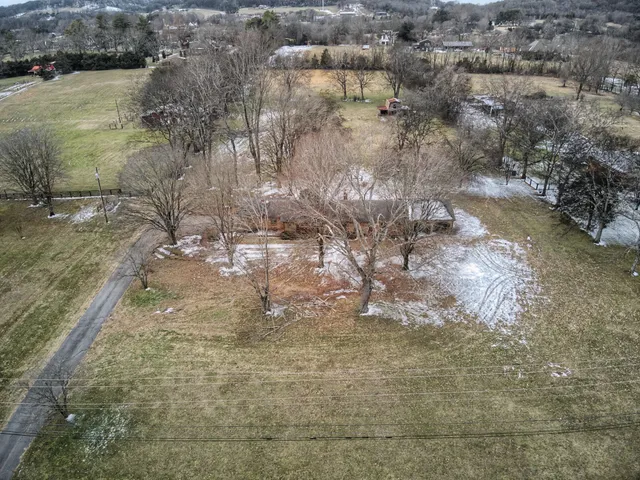 a view of a yard with large trees