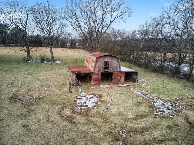 a view of yard with trees
