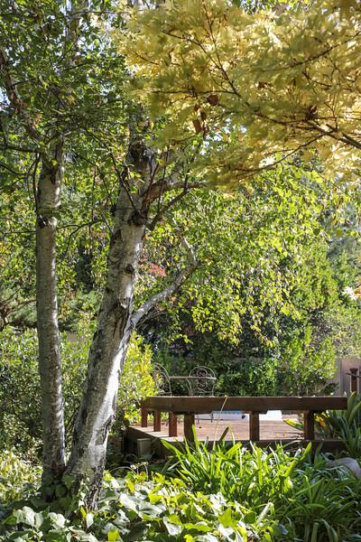 892 Lathrop Drive Stanford, CA 94305 - Photo 21 of 24