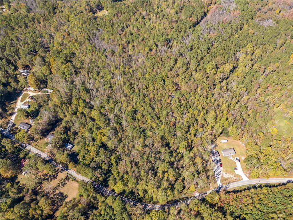 0 Hog Liver Road Carrollton, GA 30117 - Photo 3 of 8 Gallery Image 3