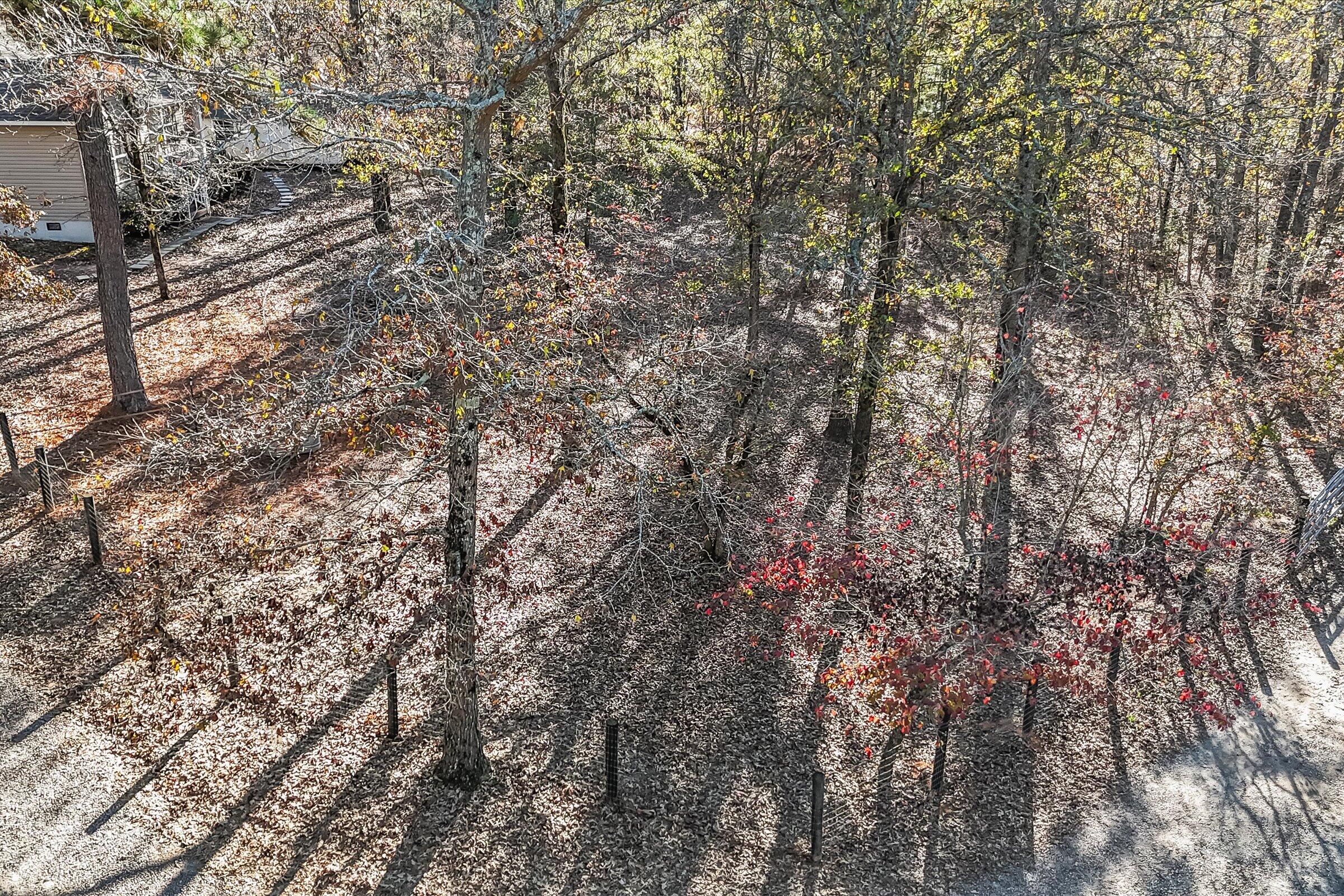 216 Bluffwood Road Wagener, SC 29164 - Photo 61 of 61