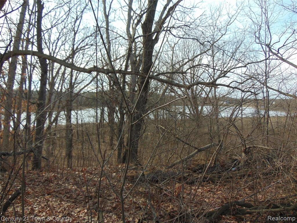 0 Taylor Lake Road Pontiac, MI 48342 - Photo 1 of 10
