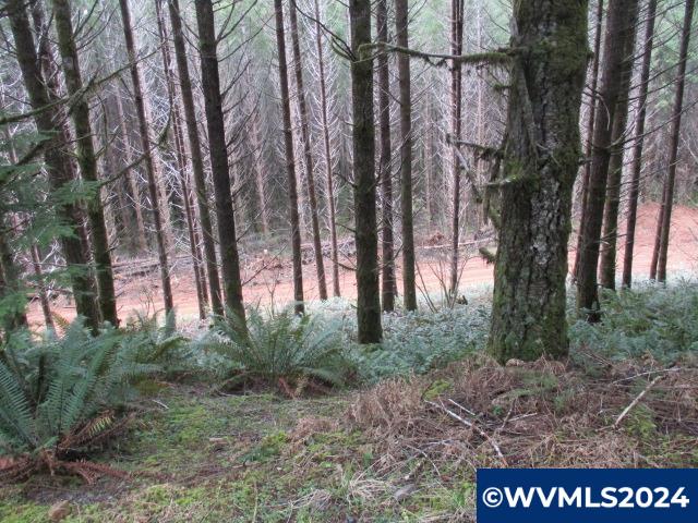 0 Quartzville Road Cascadia, OR 97329 - Photo 2 of 10