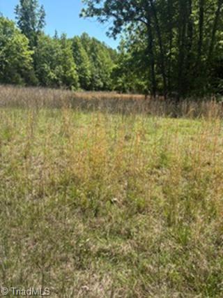 4275 Grubbs Road Walkertown, NC 27051 - Photo 15 of 16