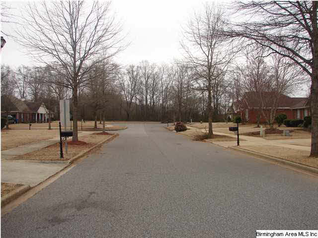 178 Silverstone Lane Alabaster, AL 35007 - Photo 29 of 30