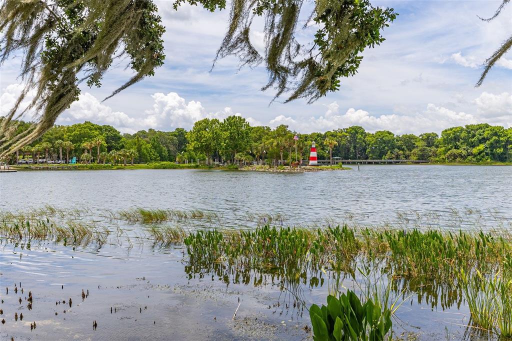 367 August Fern Loop Mount Dora, FL 32757 - Photo 72 of 90