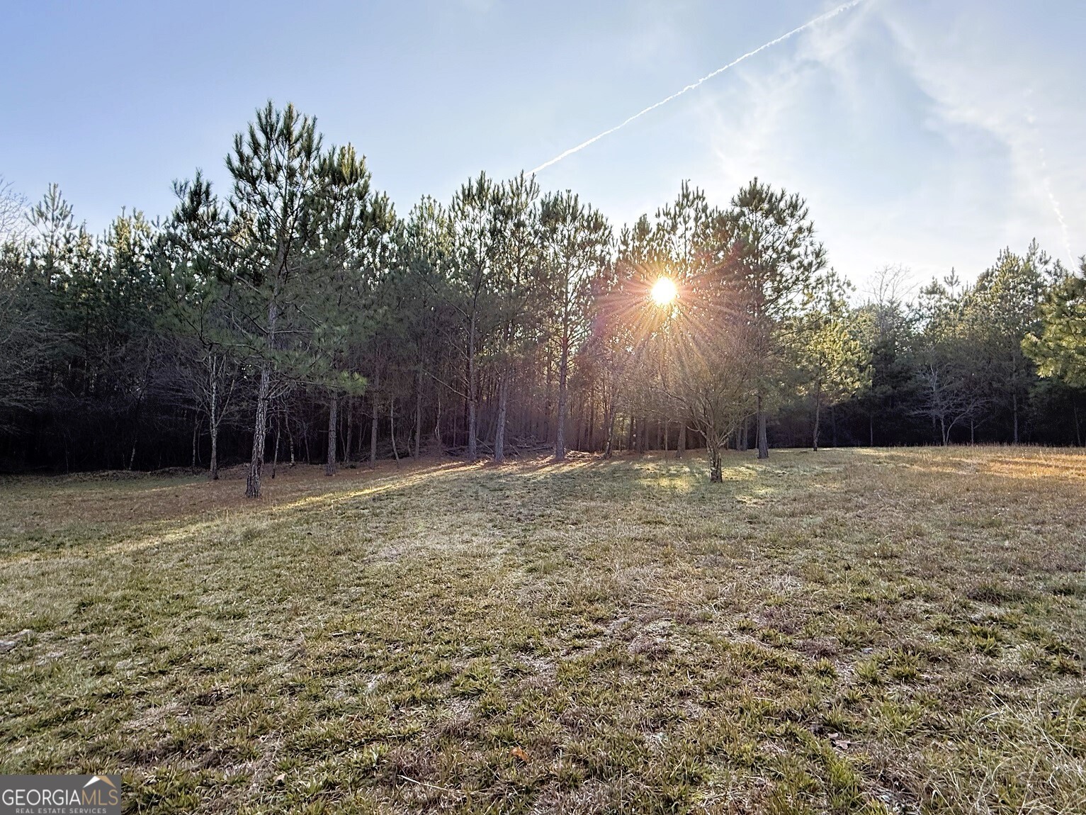 0 Stinchcomb Road Elberton, GA 30635 - Photo 4 of 16