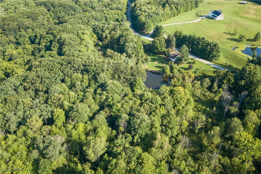 4491 Fox Road Kingsville, OH 44048 - Photo 32 of 33 Aerial view
