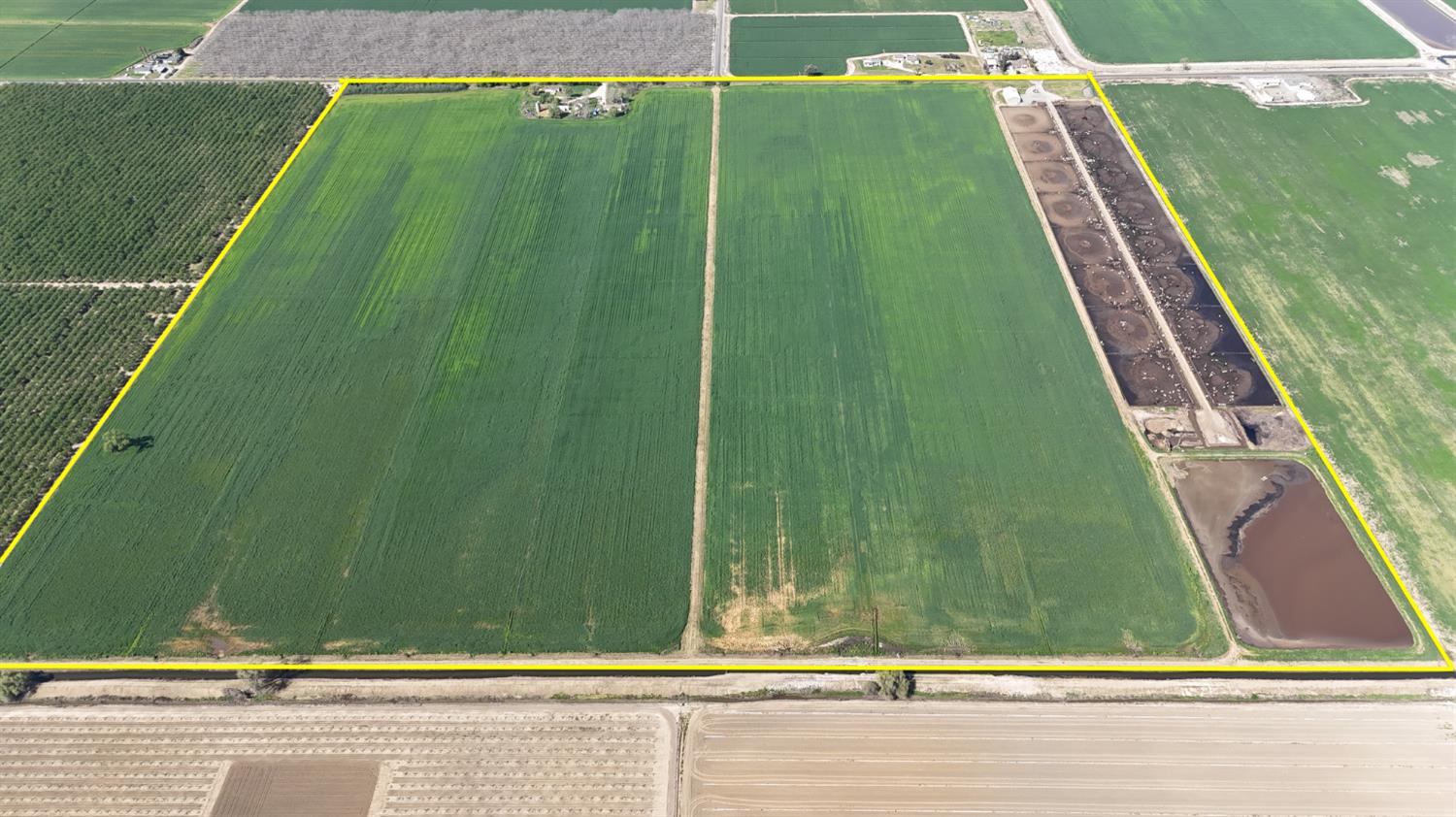 24916 Manteca Road Manteca, CA 95337 - Photo 14 of 18