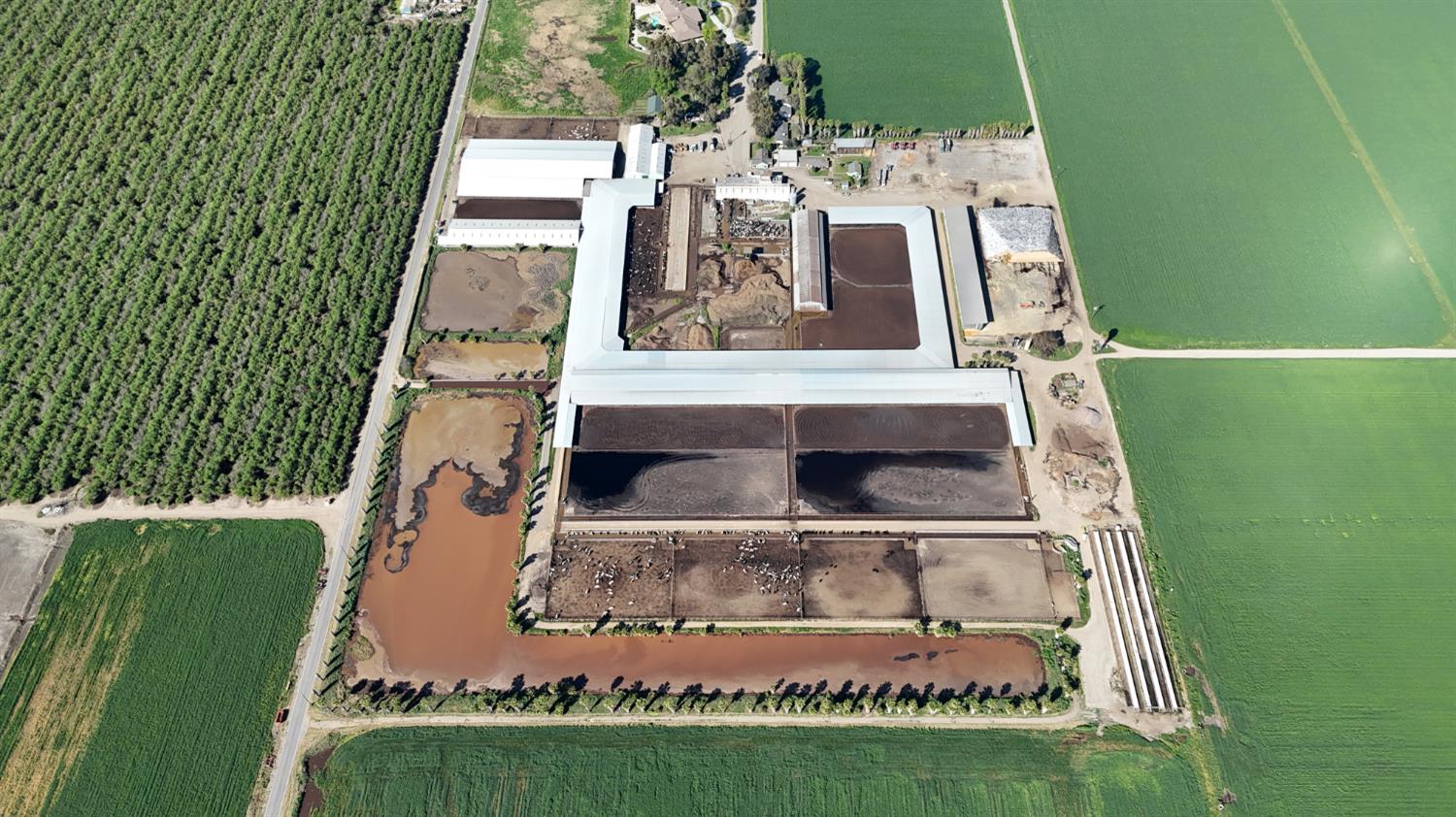 24916 Manteca Road Manteca, CA 95337 - Photo 9 of 18