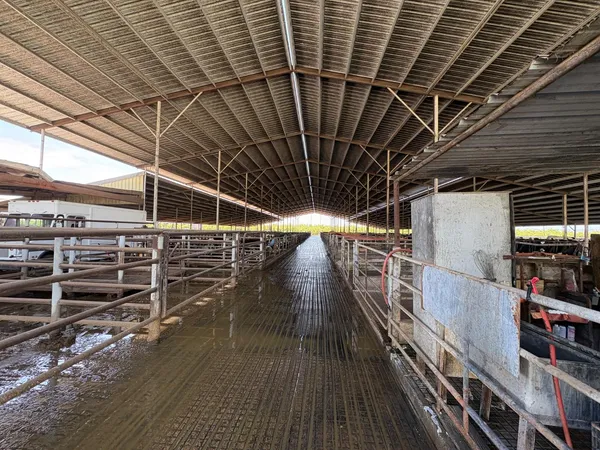 $24,987,000 | 24916 Manteca Road, Manteca, CA 95337