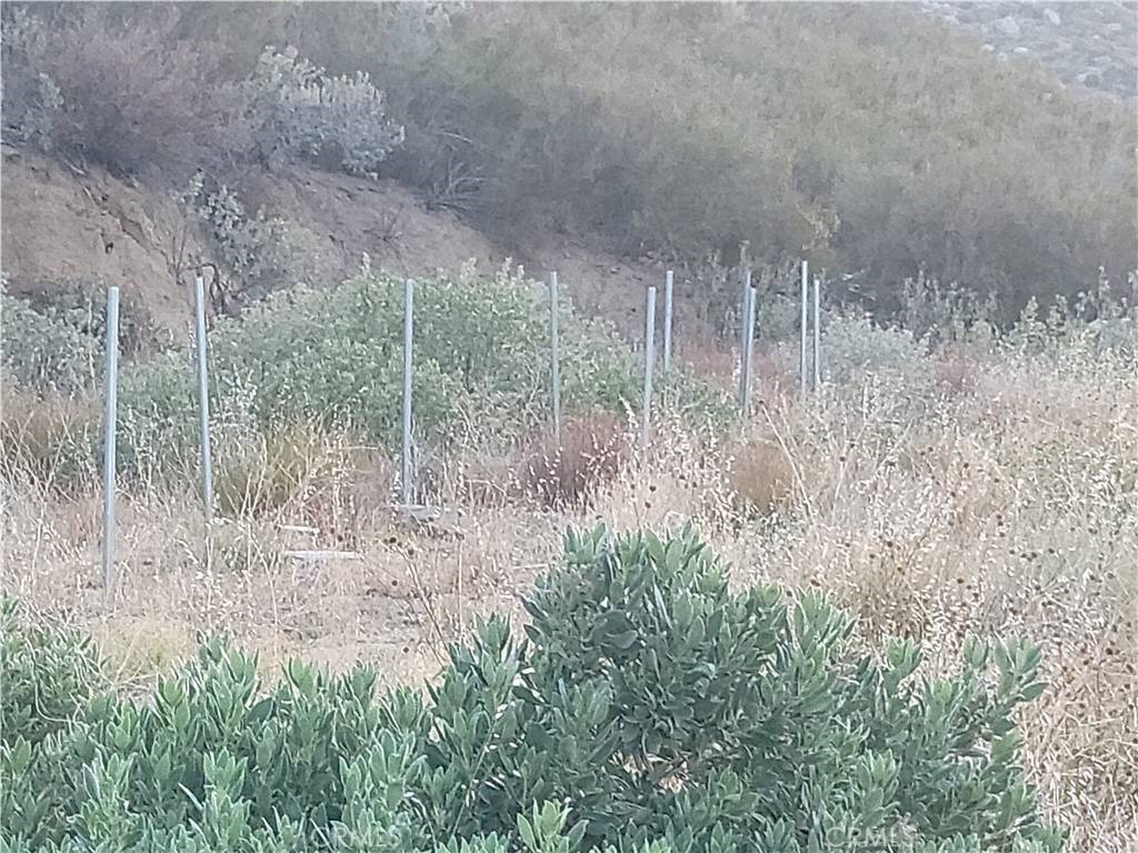 48850 Horse Trail Road Banning, CA 92220 - Photo 4 of 6 Primary slot