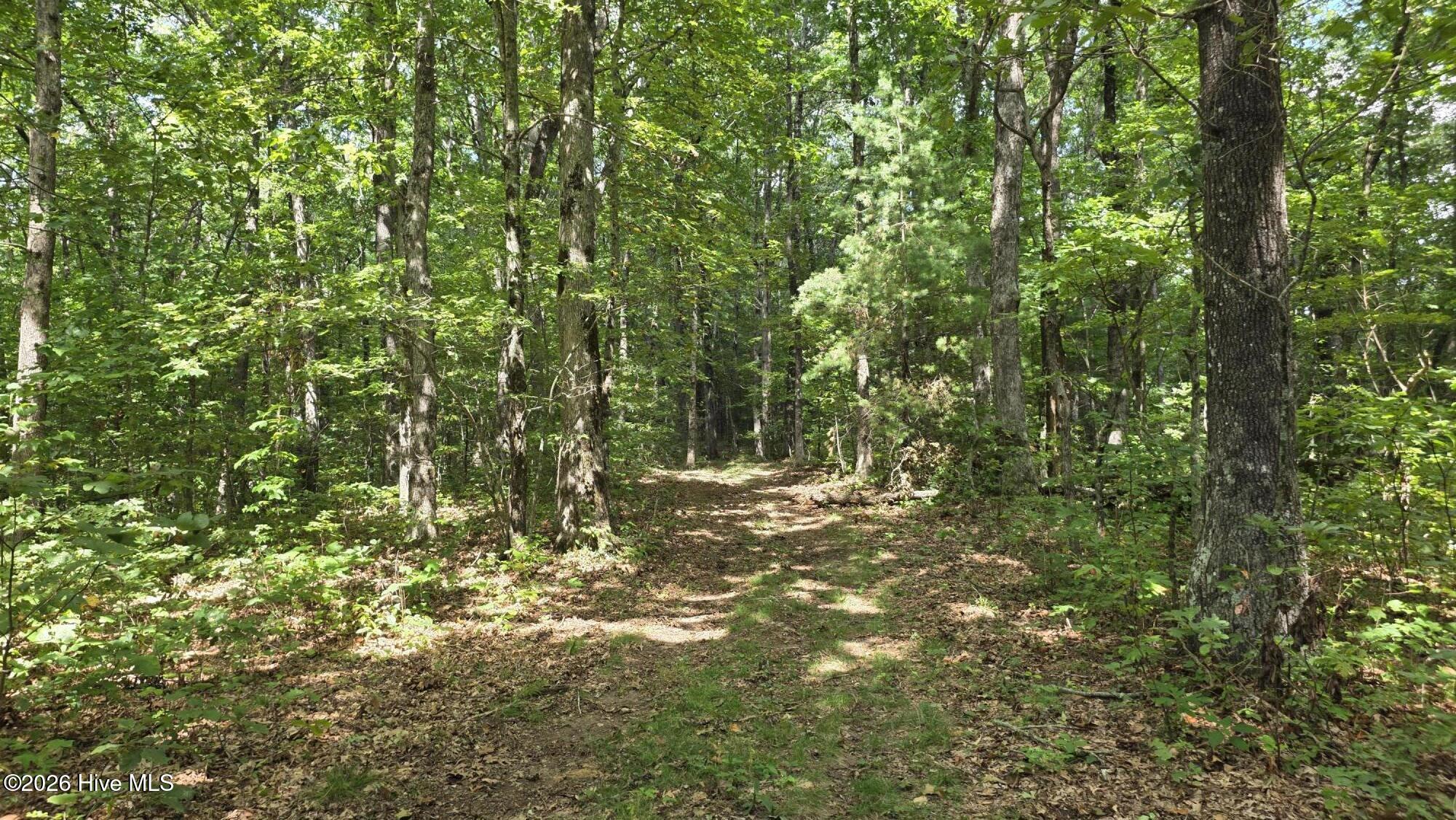 Lot 17 Outlook Road Murphy, NC 28906 - Photo 1 of 2 2026-09-11 13.23.05