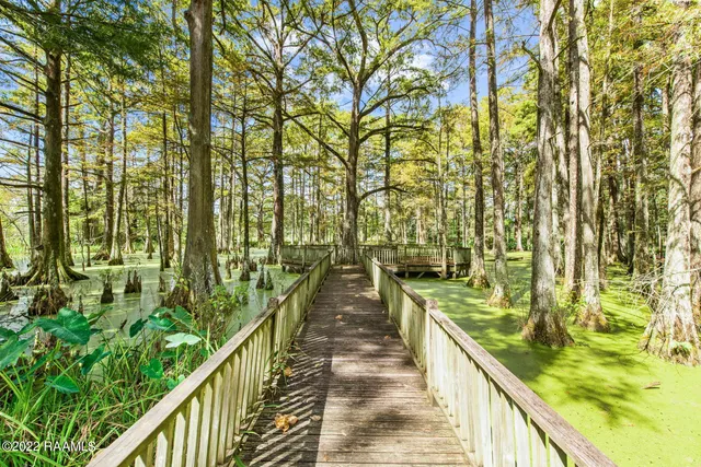 $3,000,000 | 616 Dejean Highway, Washington, LA 70589