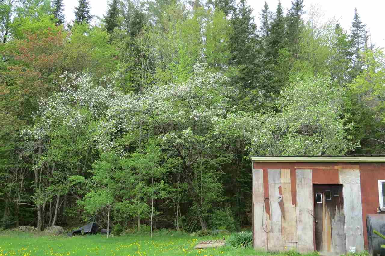 853 Dublin Road Plymouth, VT 05149 - Photo 10 of 11 Gallery Image 10