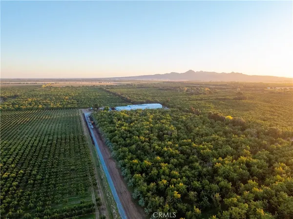 $9,900,000 | 459 West Evans Reimer Road, Gridley, CA 95948