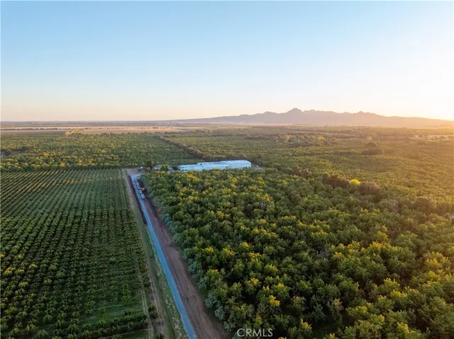 $9,900,000 | 459 West Evans Reimer Road, Gridley, CA 95948