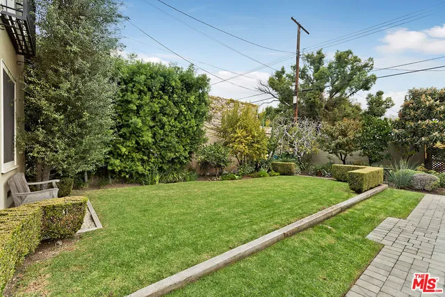 a view of a yard with a tree