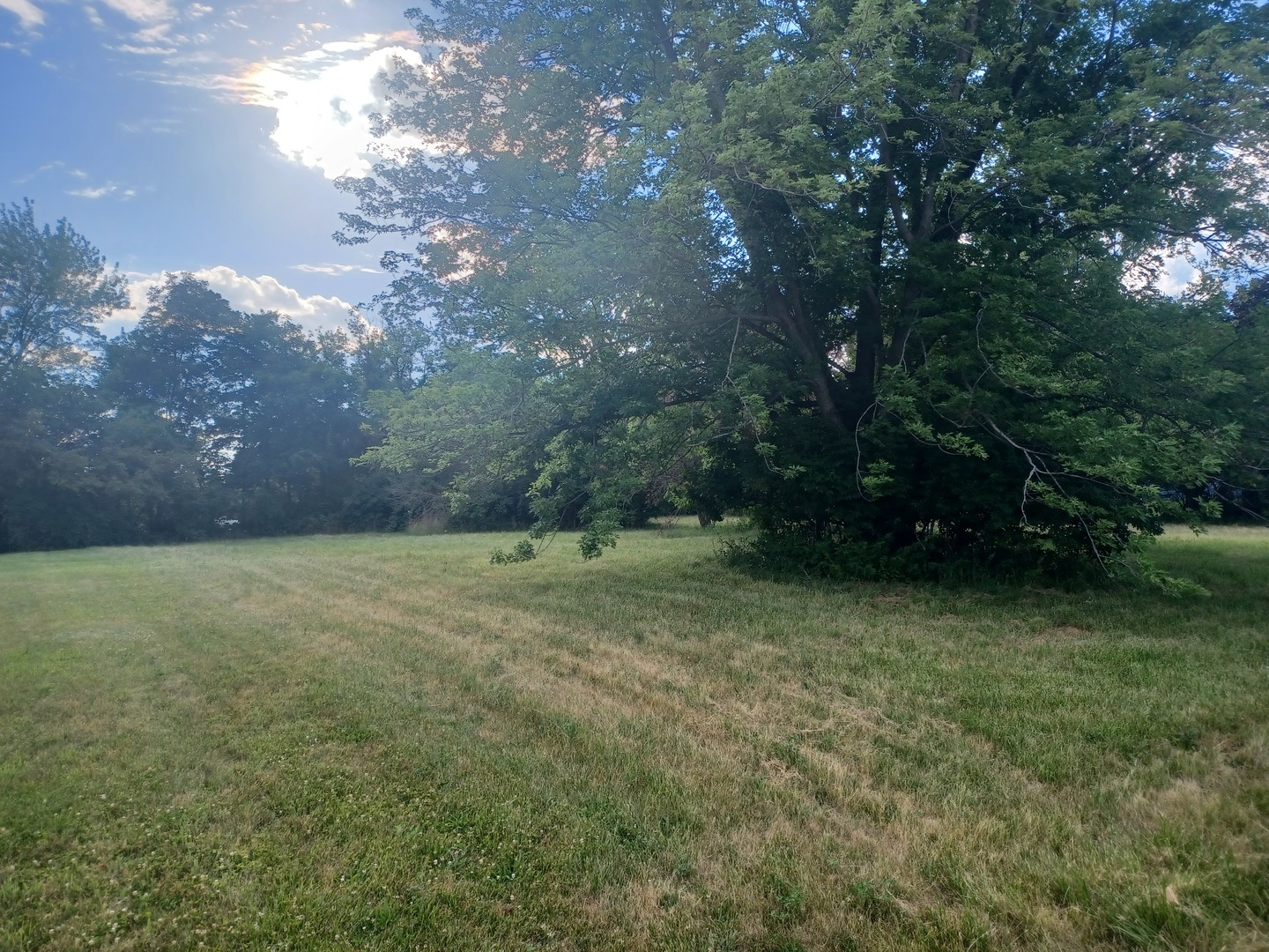 110 Cornwall Circle Southeast Poplar Grove, IL 61065 - Photo 1 of 2 a view of a yard with a tree