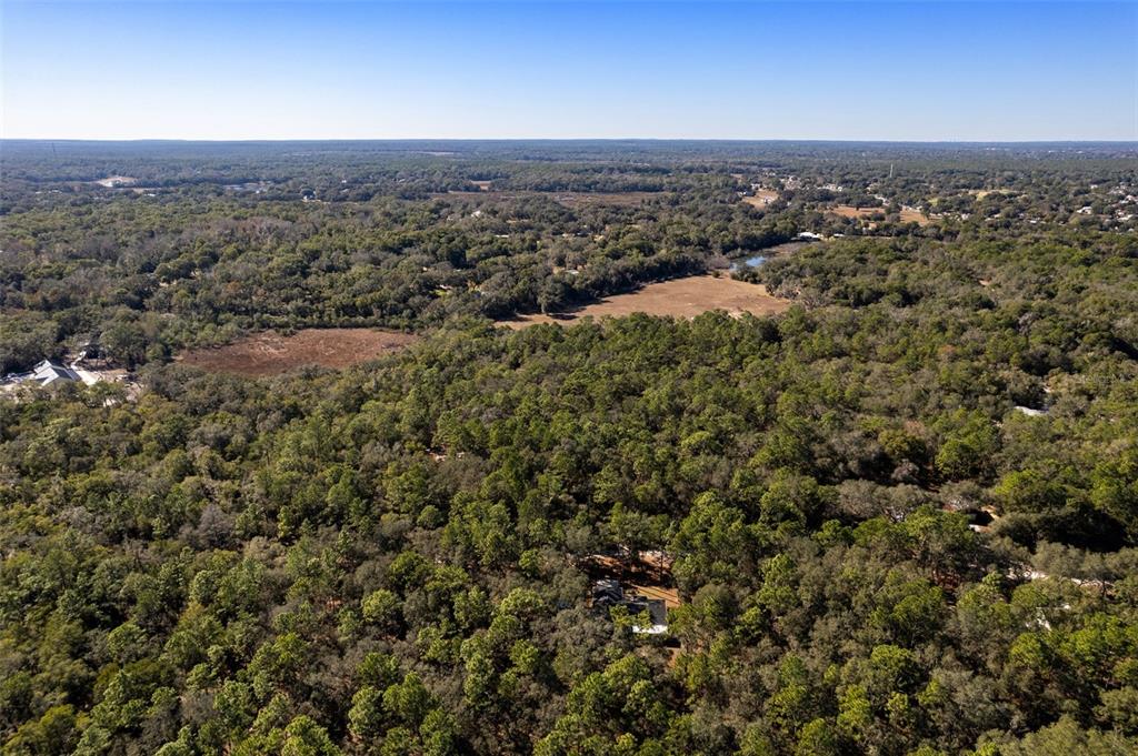 9735 Mallard Drive Inverness, FL 34450 - Photo 8 of 9