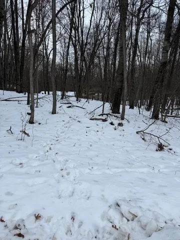 $2,500 | 12090 Regina Drive, Stanwood, MI 49346