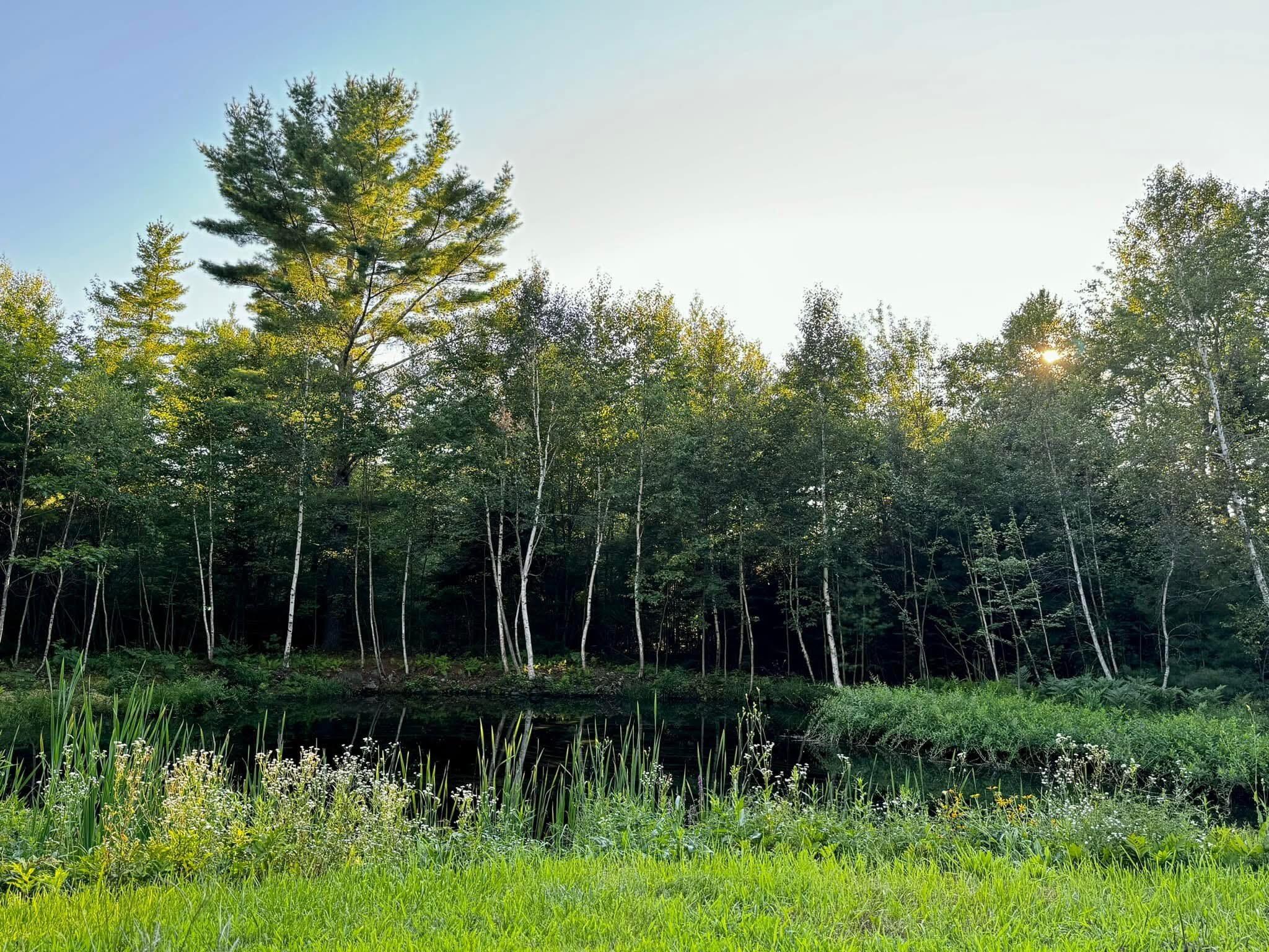 224 Tolman Road Warren, ME 04864 - Photo 63 of 75