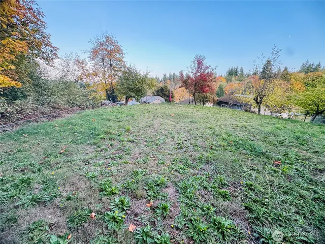 a yard with lots of green space