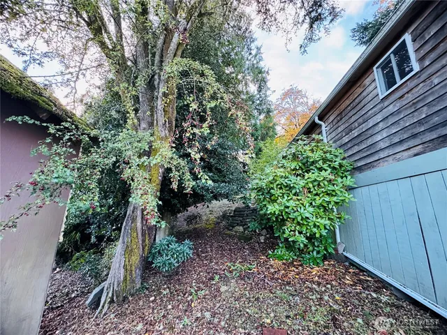a view of backyard with green space