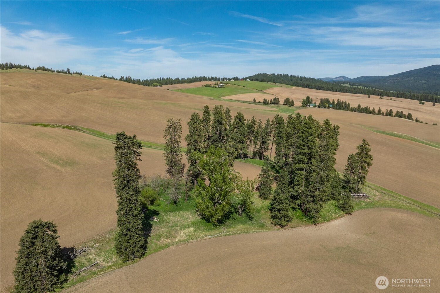 -xxx South Jackson Road, Unit LOT 17 Mica, WA 99023 - Photo 24 of 40 a view of a lake with a mountain
