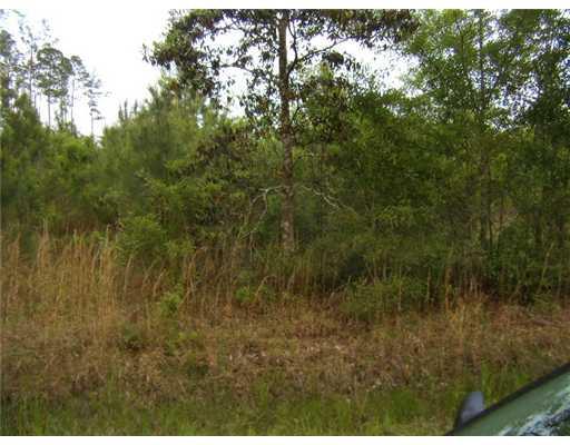 0 Archie Singletary Road Pearl River, LA 70452 - Photo 11 of 12 Gallery Image 11