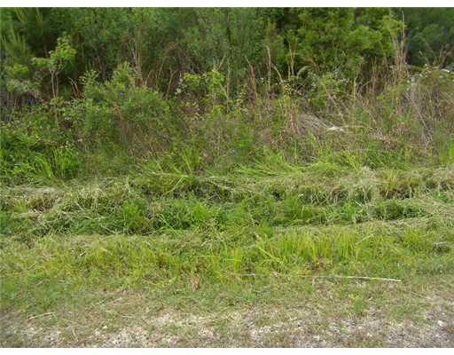 0 Archie Singletary Road Pearl River, LA 70452 - Photo 3 of 12 Gallery Image 3