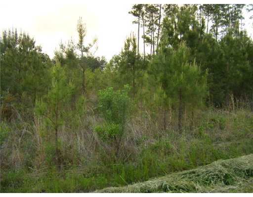 0 Archie Singletary Road Pearl River, LA 70452 - Photo 6 of 12 Gallery Image 6